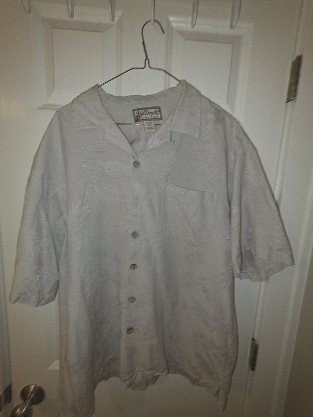 Big Dogs Light Gray Short-Sleeve Silk Shirt